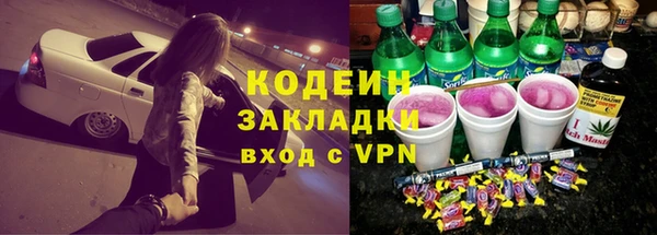 2c-b Инта
