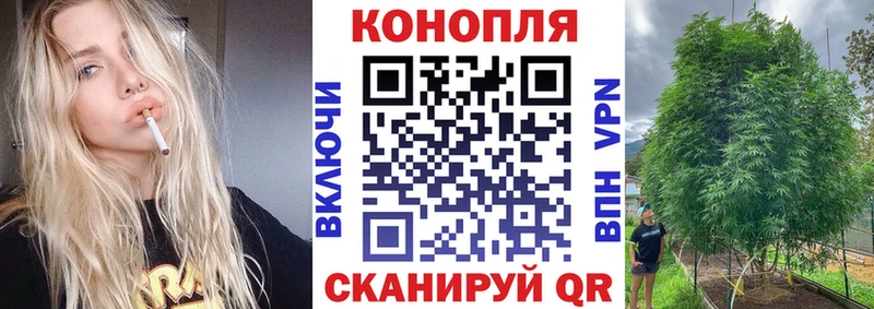 Купить закладки  Гусиноозёрск  Конопля гибрид 